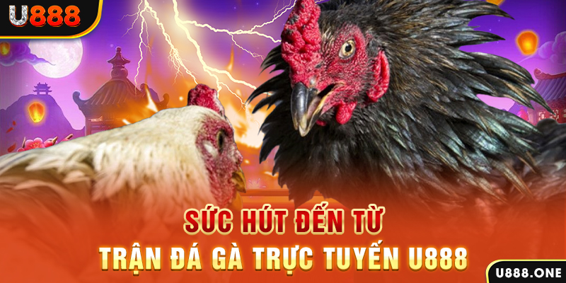 vietjack 10 đá gà trực tiếp c1