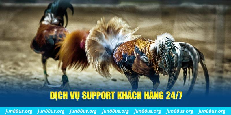 vietjack 10 ÁT CHỦ BÀI GIÀNH LẤY ZHUANG NIUNIU ( XEM 4 LÁ )