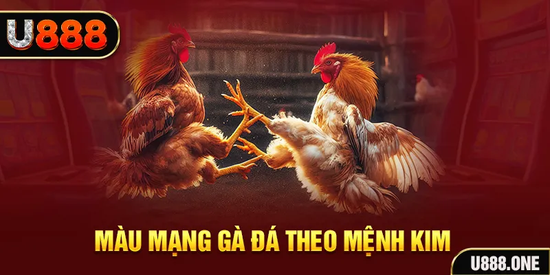 vietjack 10 Cỡ bảy