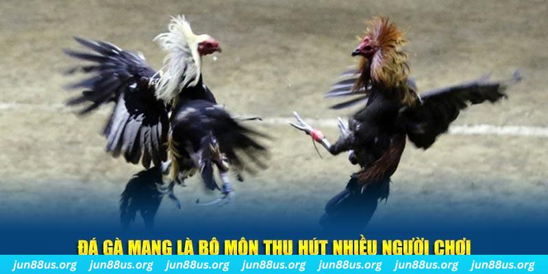 vietjack 10 bắn cá au88
