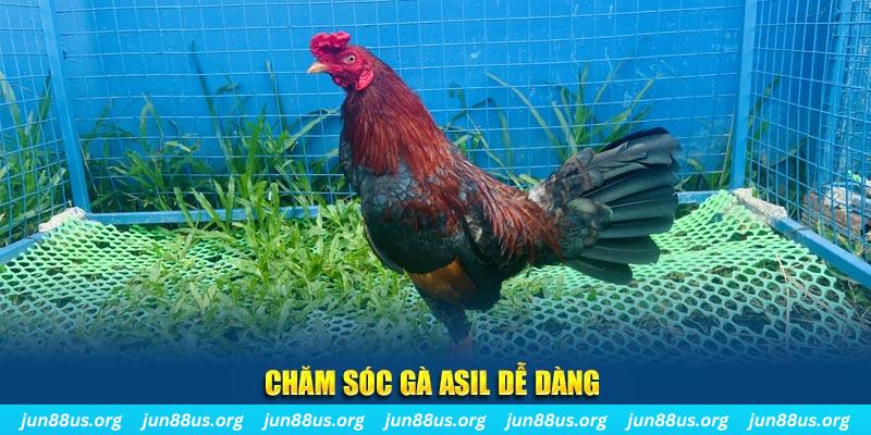 vietjack 10 game bài là gì
