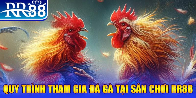 vietjack 10 đá gà cam 67