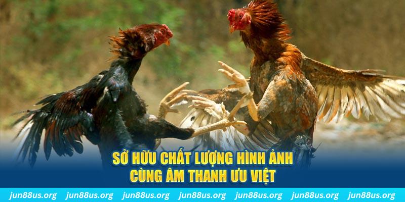 vietjack 10 PP Điện Tử