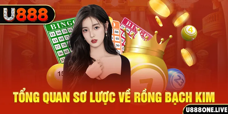 vietjack 10 hũ 8 bit nổ như thế nào