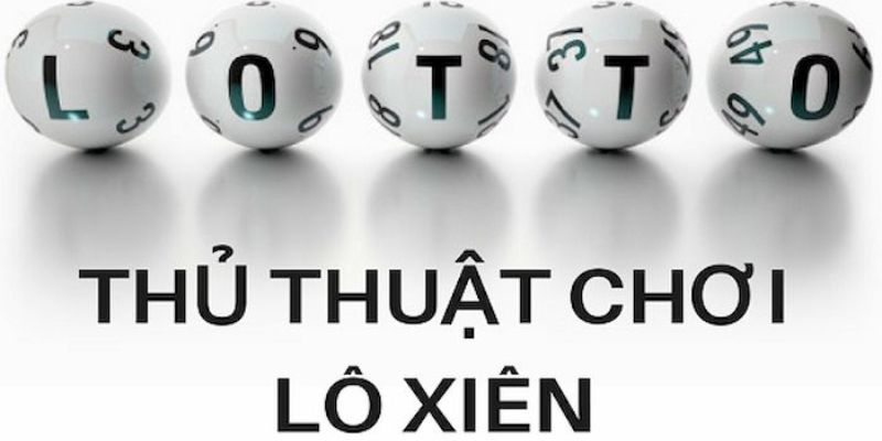 vietjack 10 trực tiếp đá gà thomo