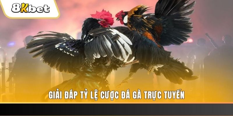 vietjack 10 xổ số đài miền trung