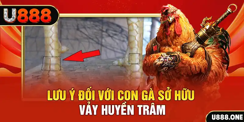 vietjack 10 kết quả xổ số miền nam hôm nay
