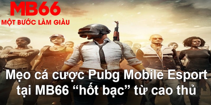 vietjack 10 VA Bắn cá