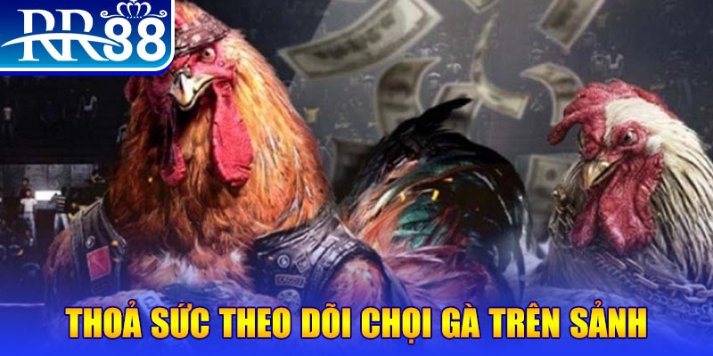 vietjack 10 Bài Poker Joker