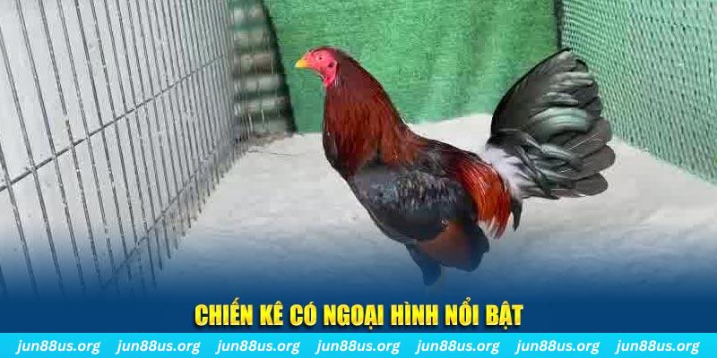 vietjack 10 game nổ hũ là gì
